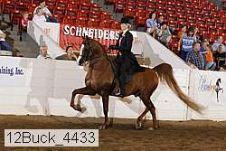 12buck_4433 proof