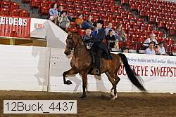 12buck_4437 proof