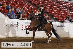 12buck_4440 proof