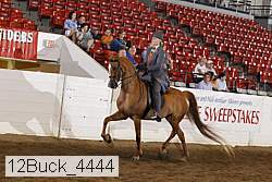 12buck_4444 proof