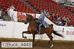 12buck_4448 proof