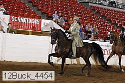 12buck_4454 proof