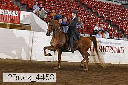 12buck_4458 proof