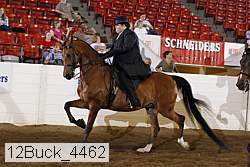 12buck_4462 proof