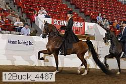 12buck_4467 proof