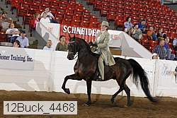 12buck_4468 proof