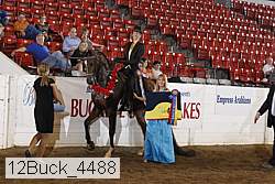 12buck_4488 proof