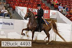 12buck_4493 proof