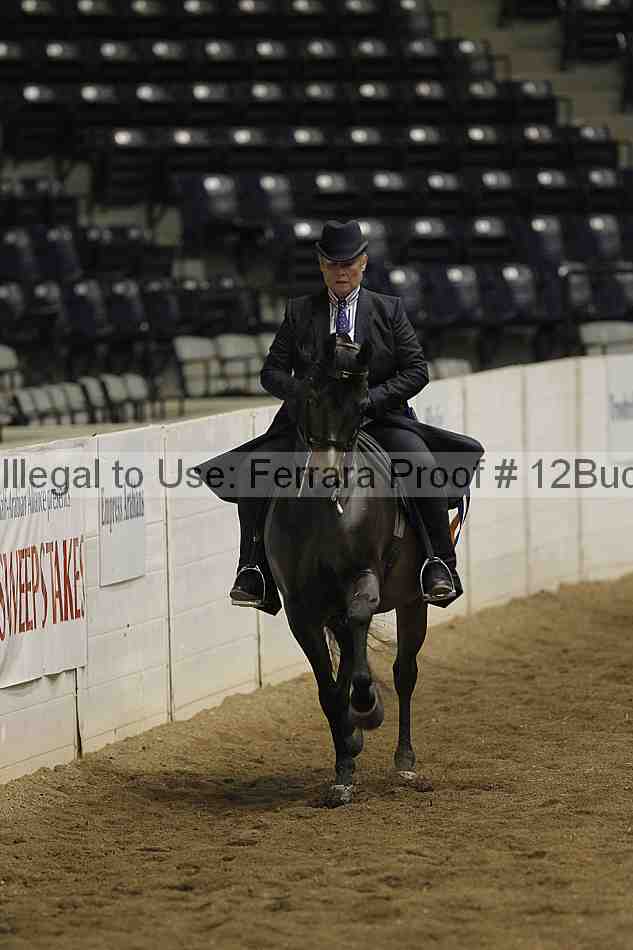 Proof 12buck_4495