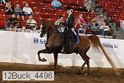 12buck_4496 proof