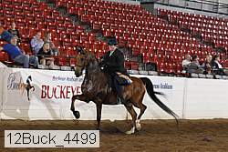 12buck_4499 proof
