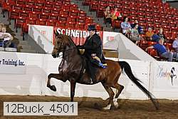 12buck_4501 proof