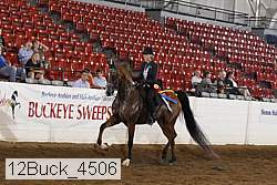 12buck_4506 proof