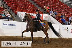 12buck_4507 proof