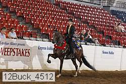 12buck_4512 proof