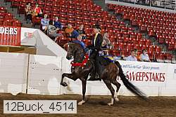 12buck_4514 proof