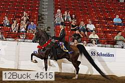 12buck_4515 proof