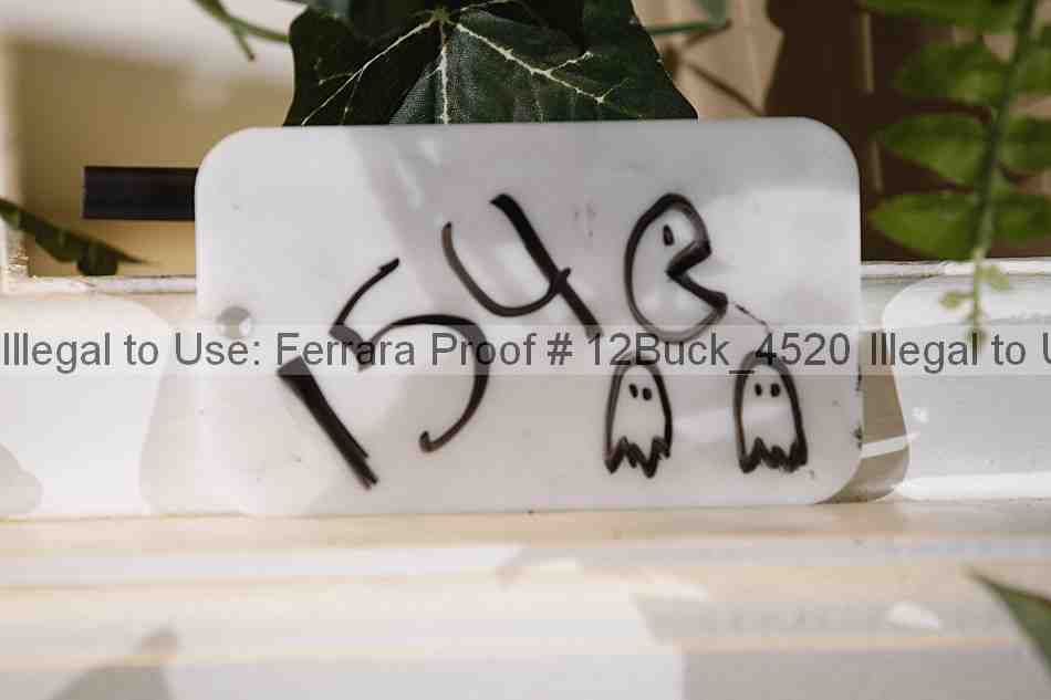 Proof 12buck_4520