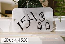 12buck_4520 proof