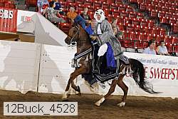 12buck_4528 proof