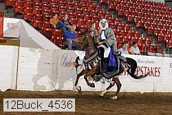 12buck_4536 proof