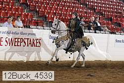 12buck_4539 proof