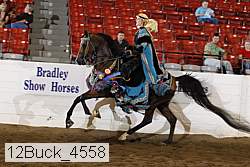 12buck_4558 proof