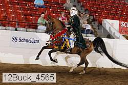 12buck_4565 proof