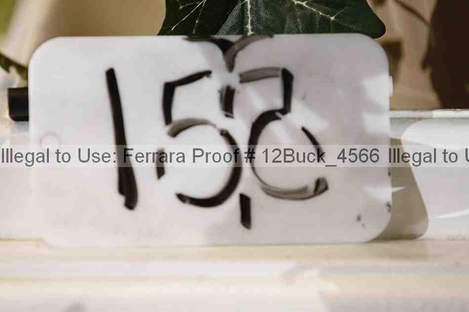 Proof 12buck_4566