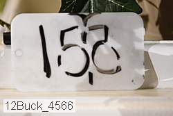 12buck_4566 proof