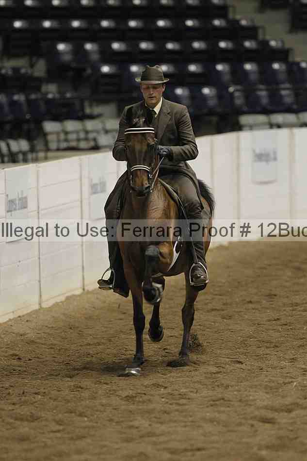 Proof 12buck_4570