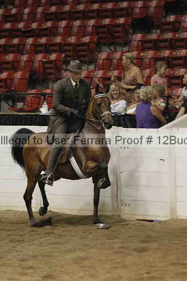 Proof 12buck_4578