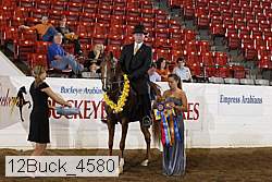 12buck_4580 proof