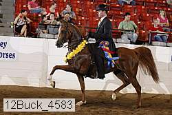 12buck_4583 proof