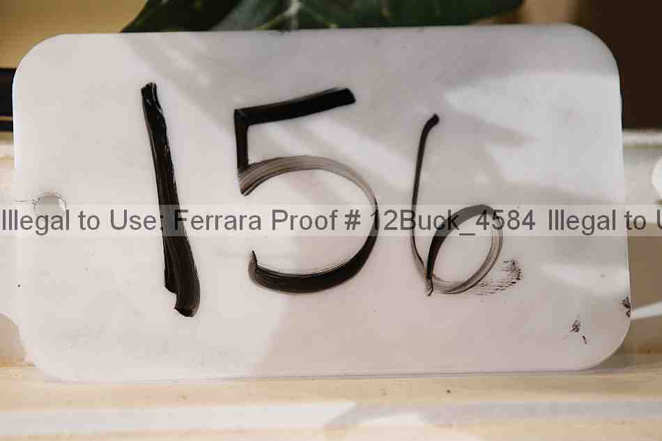 Proof 12buck_4584