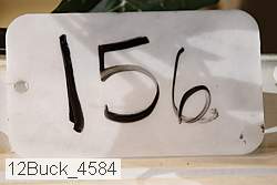 12buck_4584 proof