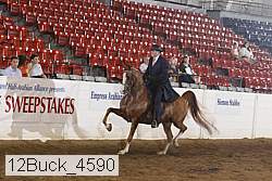 12buck_4590 proof