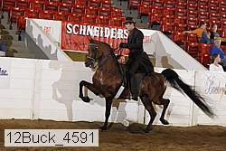 12buck_4591 proof