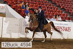 12buck_4594 proof