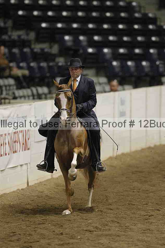 Proof 12buck_4595