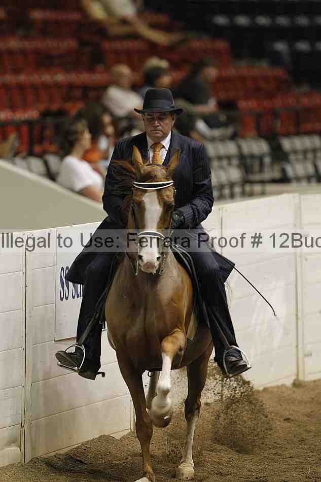Proof 12buck_4597