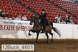 12buck_4601 proof
