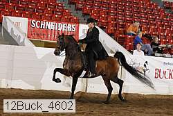 12buck_4602 proof