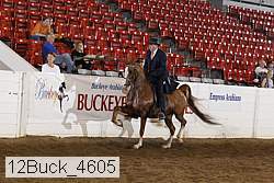 12buck_4605 proof
