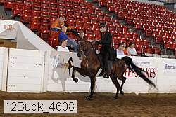12buck_4608 proof