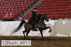 12buck_4611 proof