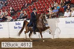 12buck_4612 proof
