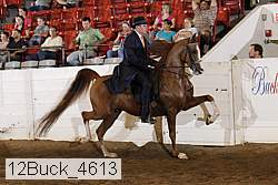 12buck_4613 proof
