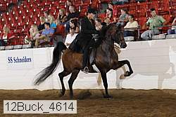 12buck_4614 proof
