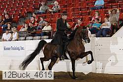 12buck_4615 proof